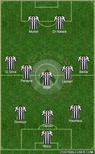 Udinese Formation 2013