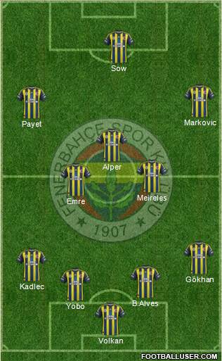 Fenerbahçe SK Formation 2013