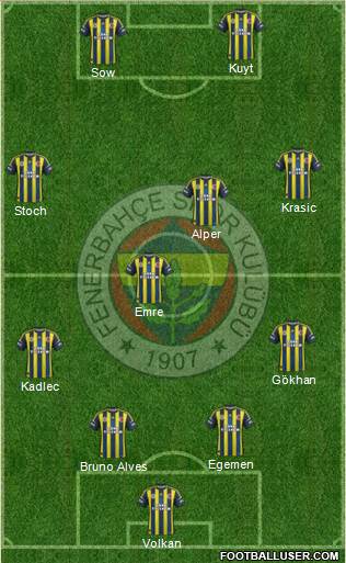 Fenerbahçe SK Formation 2013