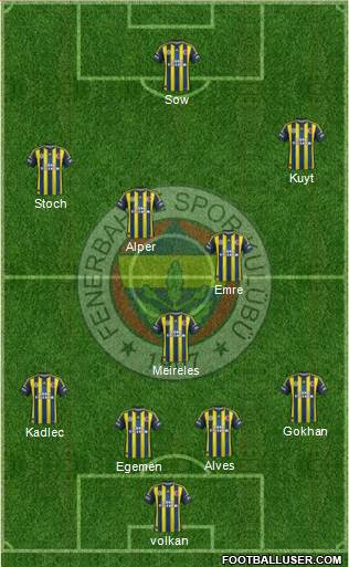 Fenerbahçe SK Formation 2013