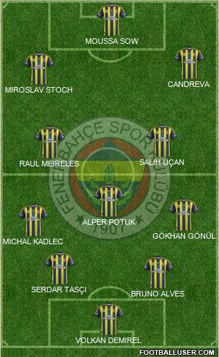 Fenerbahçe SK Formation 2013