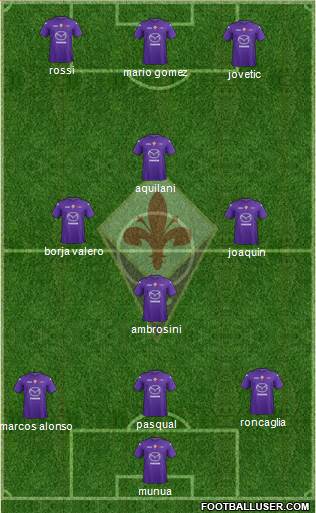 Fiorentina Formation 2013