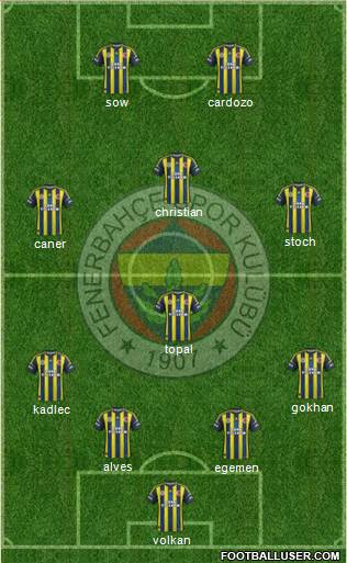 Fenerbahçe SK Formation 2013