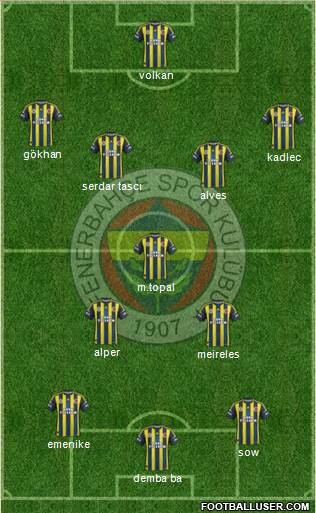 Fenerbahçe SK Formation 2013