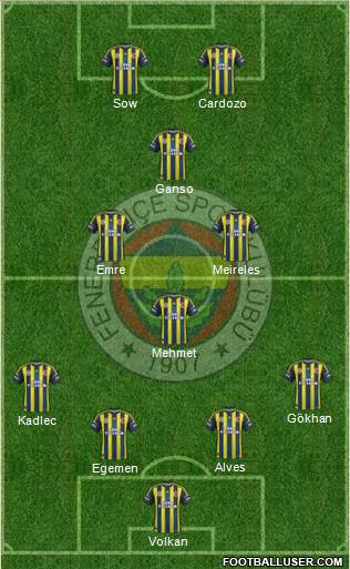 Fenerbahçe SK Formation 2013