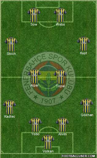 Fenerbahçe SK Formation 2013