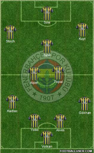Fenerbahçe SK Formation 2013