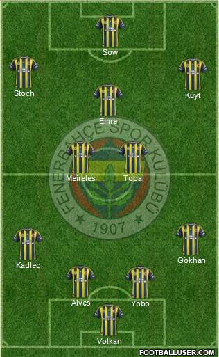 Fenerbahçe SK Formation 2013