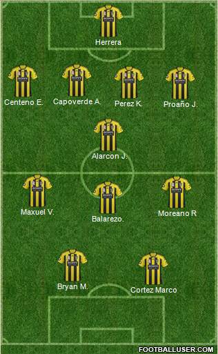 Wellington Phoenix FC Formation 2013