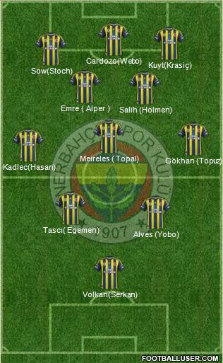 Fenerbahçe SK Formation 2013