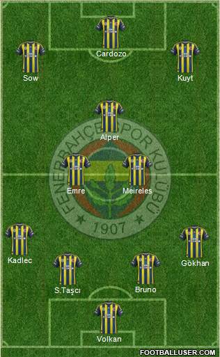 Fenerbahçe SK Formation 2013