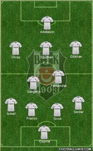 Besiktas JK Formation 2013