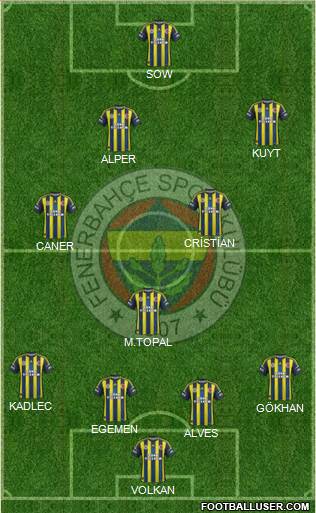 Fenerbahçe SK Formation 2013