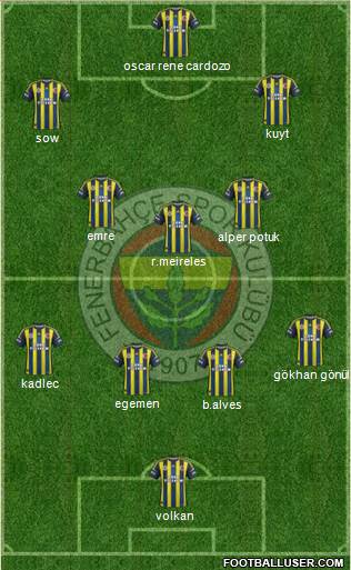Fenerbahçe SK Formation 2013