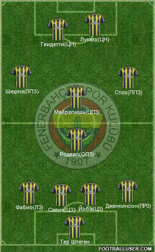 Fenerbahçe SK Formation 2013