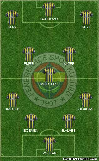 Fenerbahçe SK Formation 2013