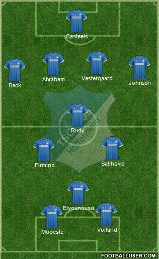 TSG 1899 Hoffenheim Formation 2013