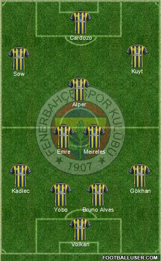 Fenerbahçe SK Formation 2013