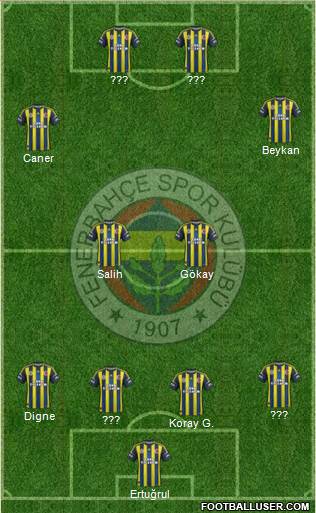 Fenerbahçe SK Formation 2013
