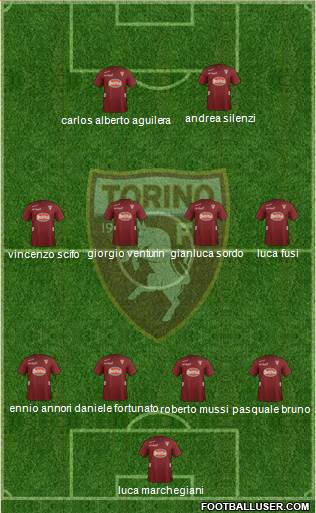 Torino Formation 2013