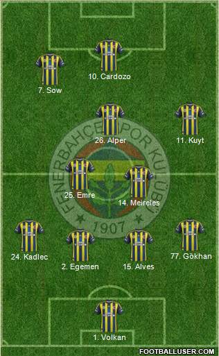 Fenerbahçe SK Formation 2013