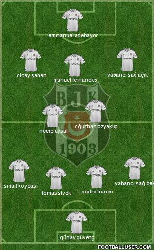 Besiktas JK Formation 2013