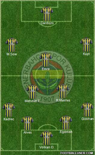 Fenerbahçe SK Formation 2013