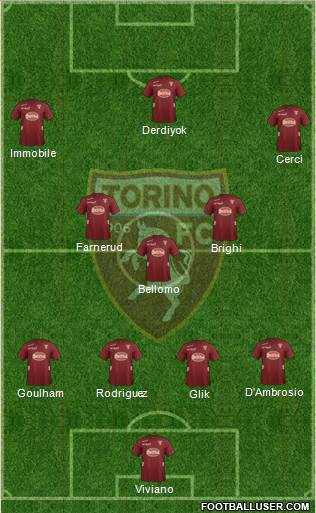 Torino Formation 2013