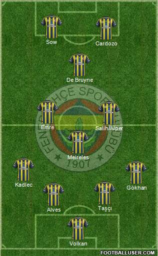 Fenerbahçe SK Formation 2013