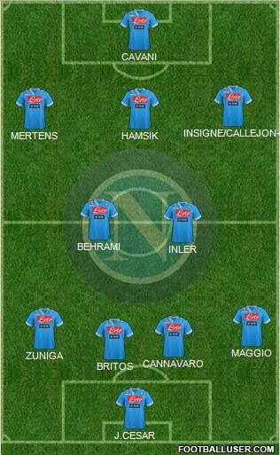 Napoli Formation 2013