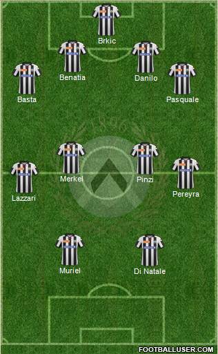 Udinese Formation 2013