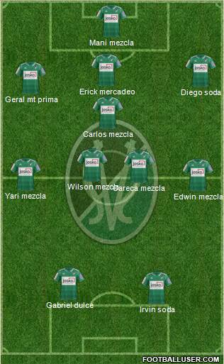 SV Ried Formation 2013