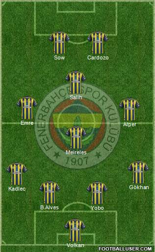 Fenerbahçe SK Formation 2013
