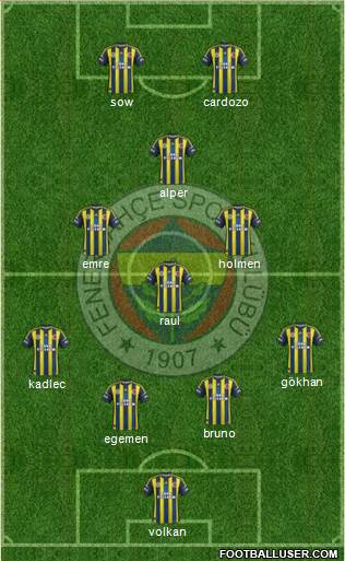 Fenerbahçe SK Formation 2013