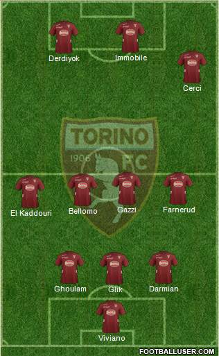 Torino Formation 2013