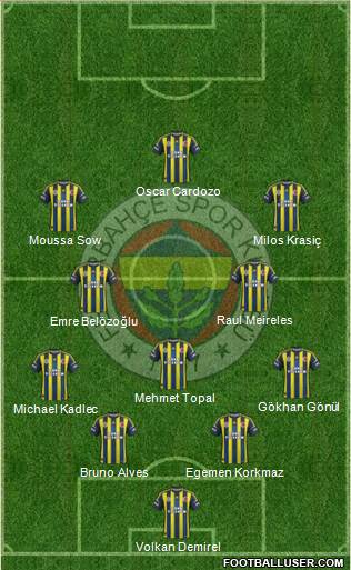 Fenerbahçe SK Formation 2013