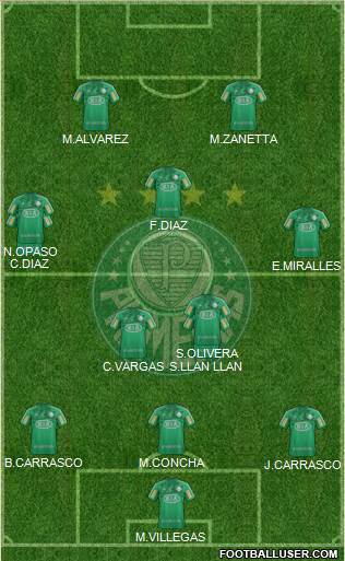 SE Palmeiras Formation 2013