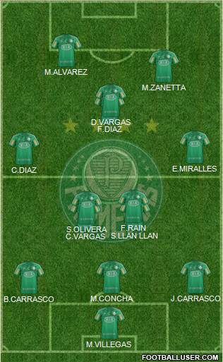 SE Palmeiras Formation 2013
