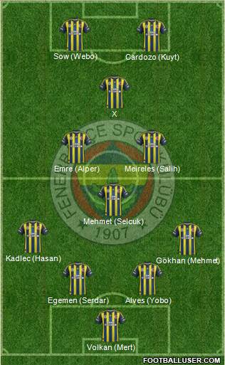 Fenerbahçe SK Formation 2013