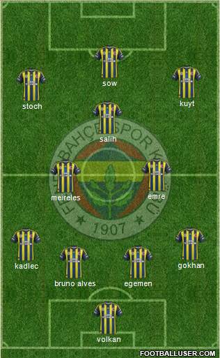 Fenerbahçe SK Formation 2013