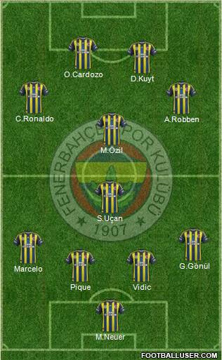 Fenerbahçe SK Formation 2013