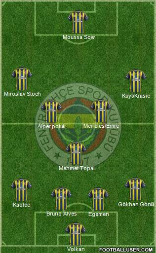 Fenerbahçe SK Formation 2013