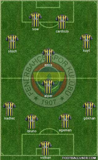 Fenerbahçe SK Formation 2013