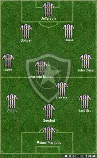 Botafogo FR Formation 2013