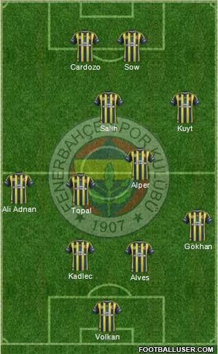 Fenerbahçe SK Formation 2013