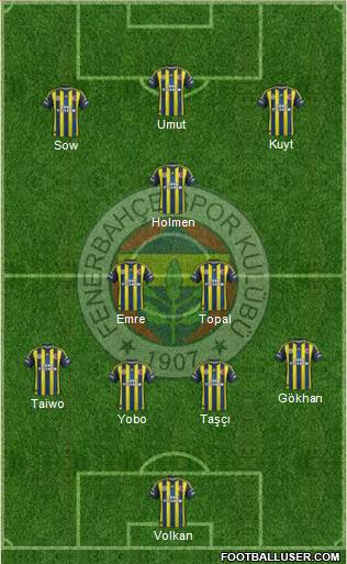 Fenerbahçe SK Formation 2013