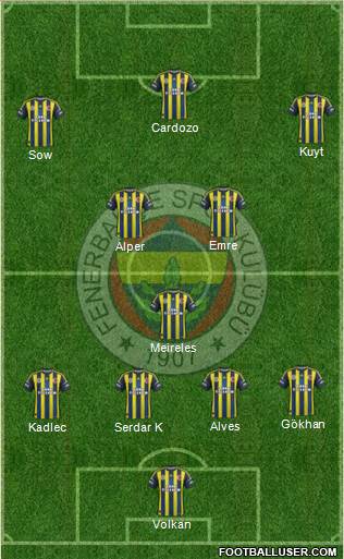 Fenerbahçe SK Formation 2013