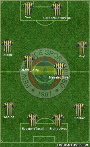 Fenerbahçe SK Formation 2013