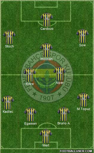 Fenerbahçe SK Formation 2013