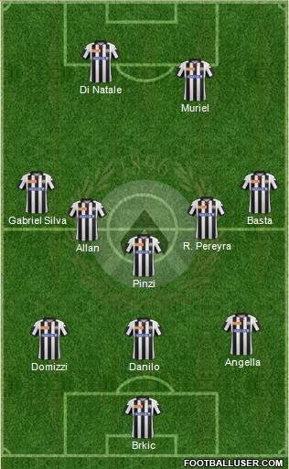 Udinese Formation 2013